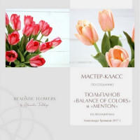 МК по тюльпанам «BALANCE OF COLORS» и «MENTON»