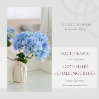 МК по гортензии «CHALLENGE BLUE»